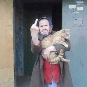 Meet your Posher, Linda